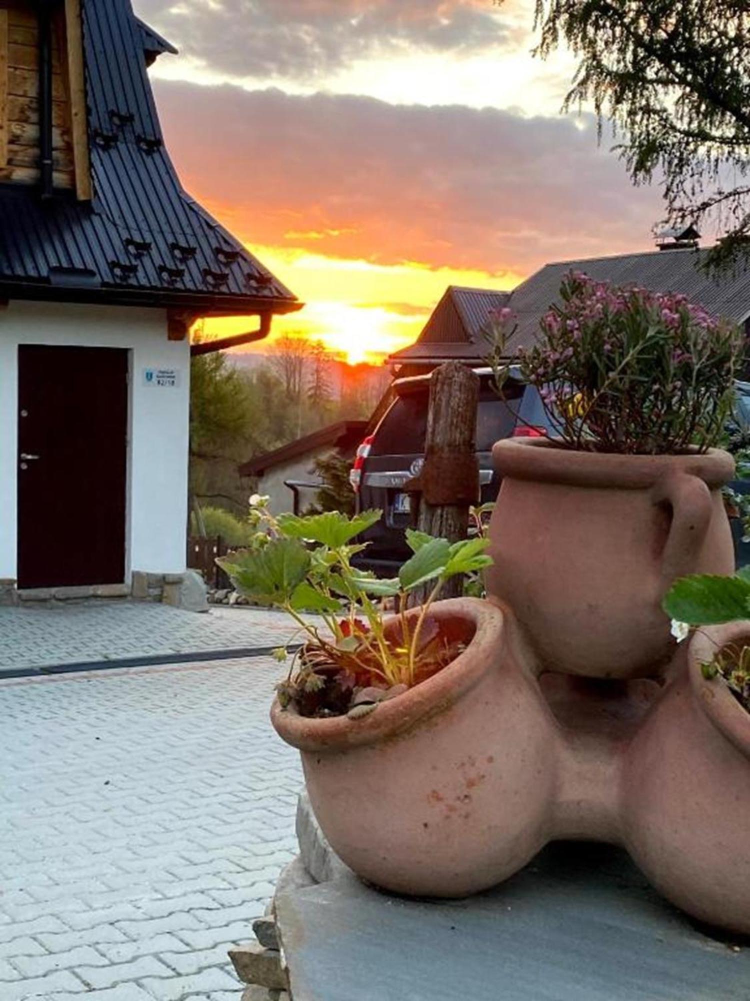 Domki I Apartamenty Na Wyskowkach Jacuzzi & Sauna 扎科帕内 外观 照片