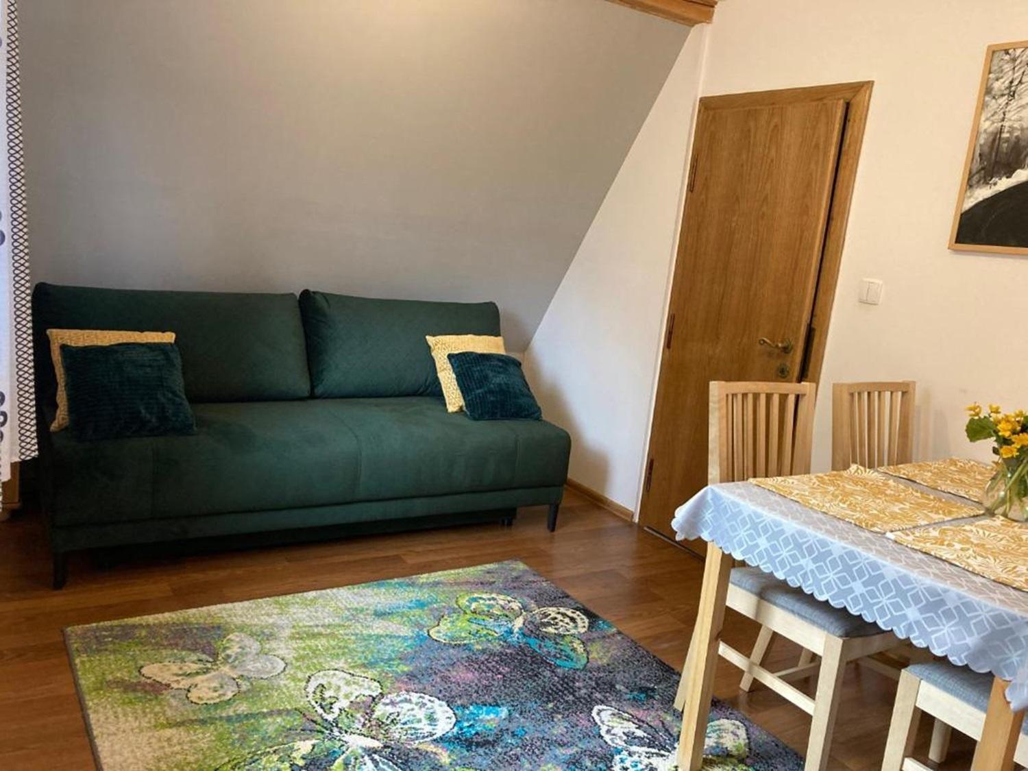 Domki I Apartamenty Na Wyskowkach Jacuzzi & Sauna 扎科帕内 外观 照片