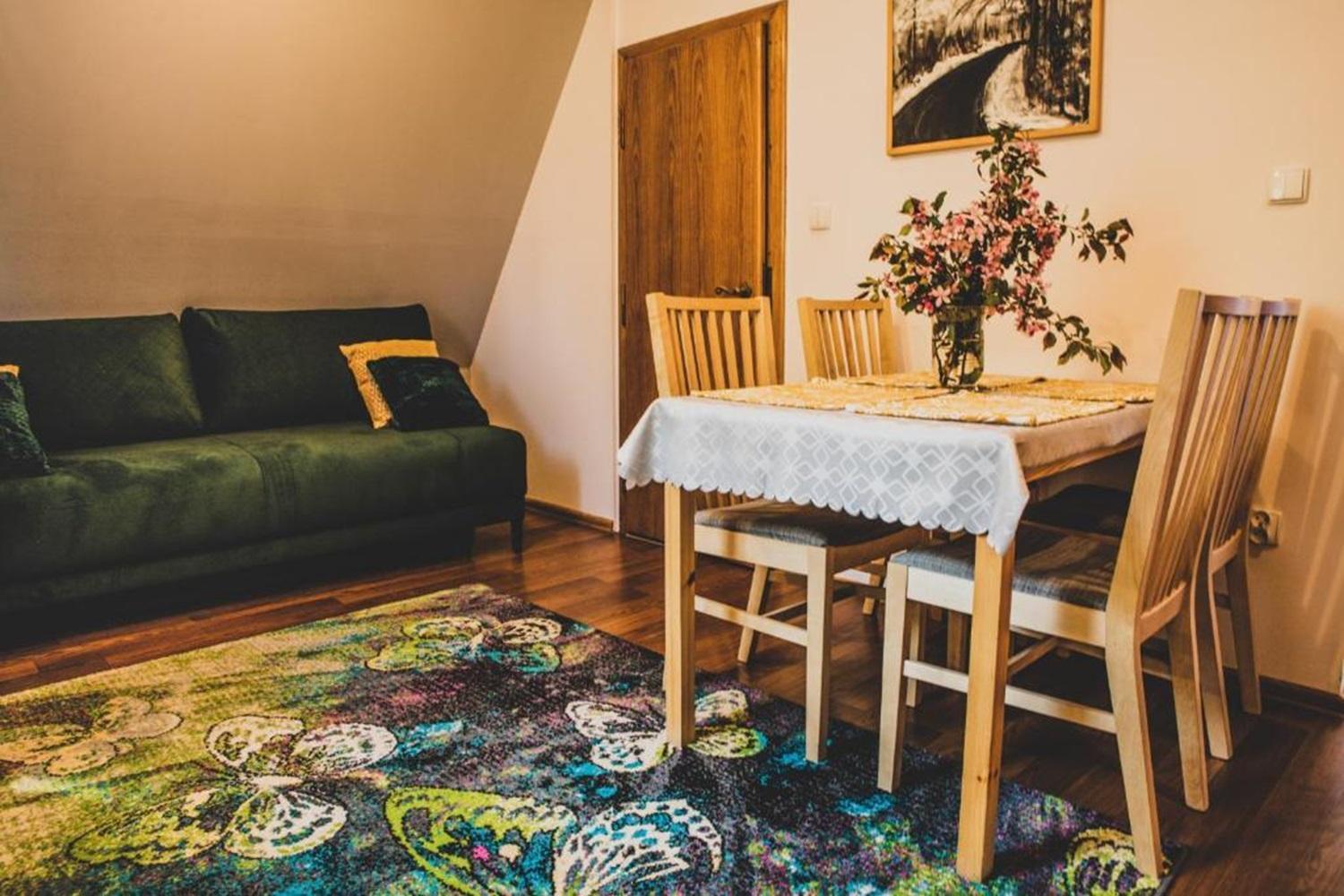 Domki I Apartamenty Na Wyskowkach Jacuzzi & Sauna 扎科帕内 外观 照片