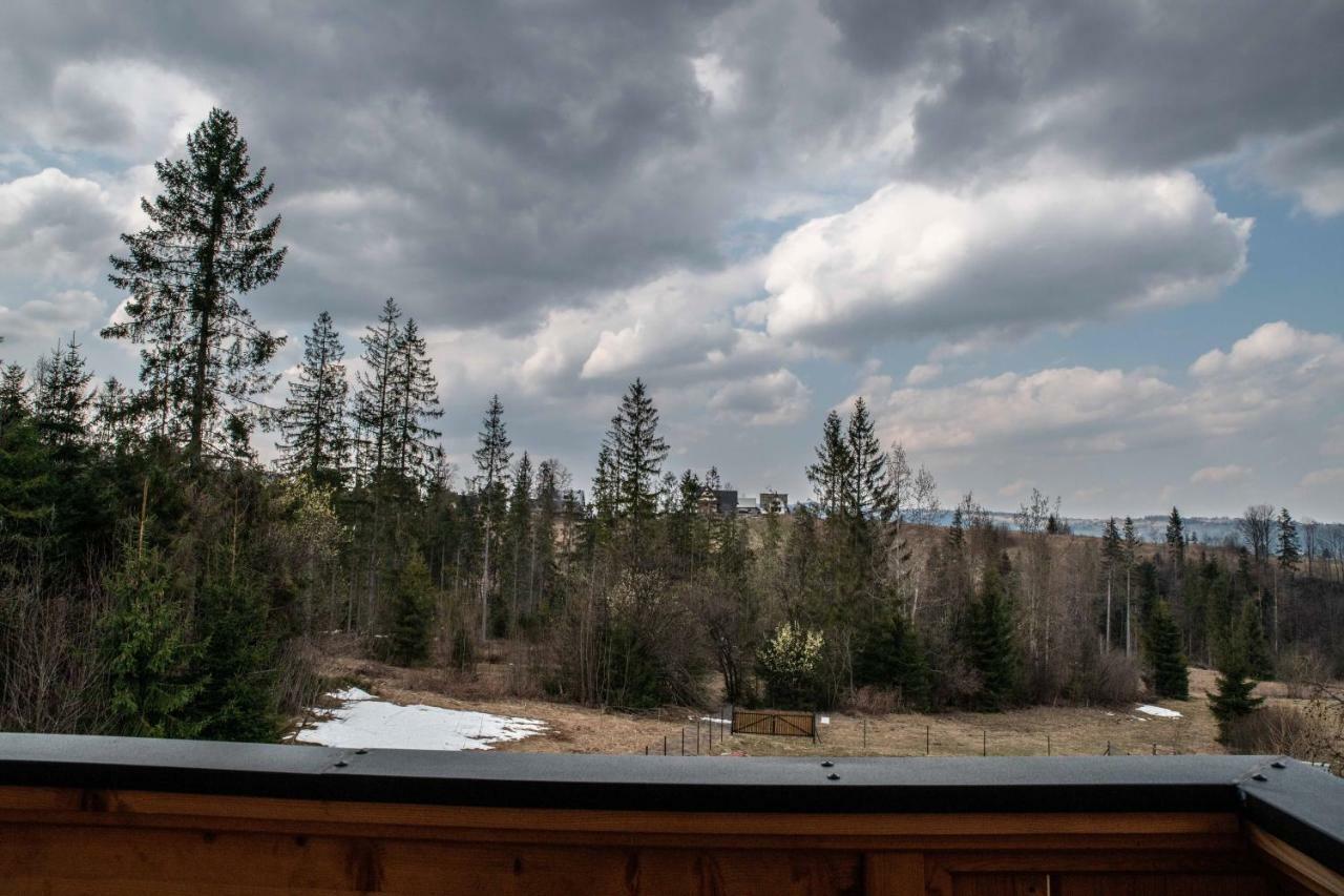 Domki I Apartamenty Na Wyskowkach Jacuzzi & Sauna 扎科帕内 外观 照片
