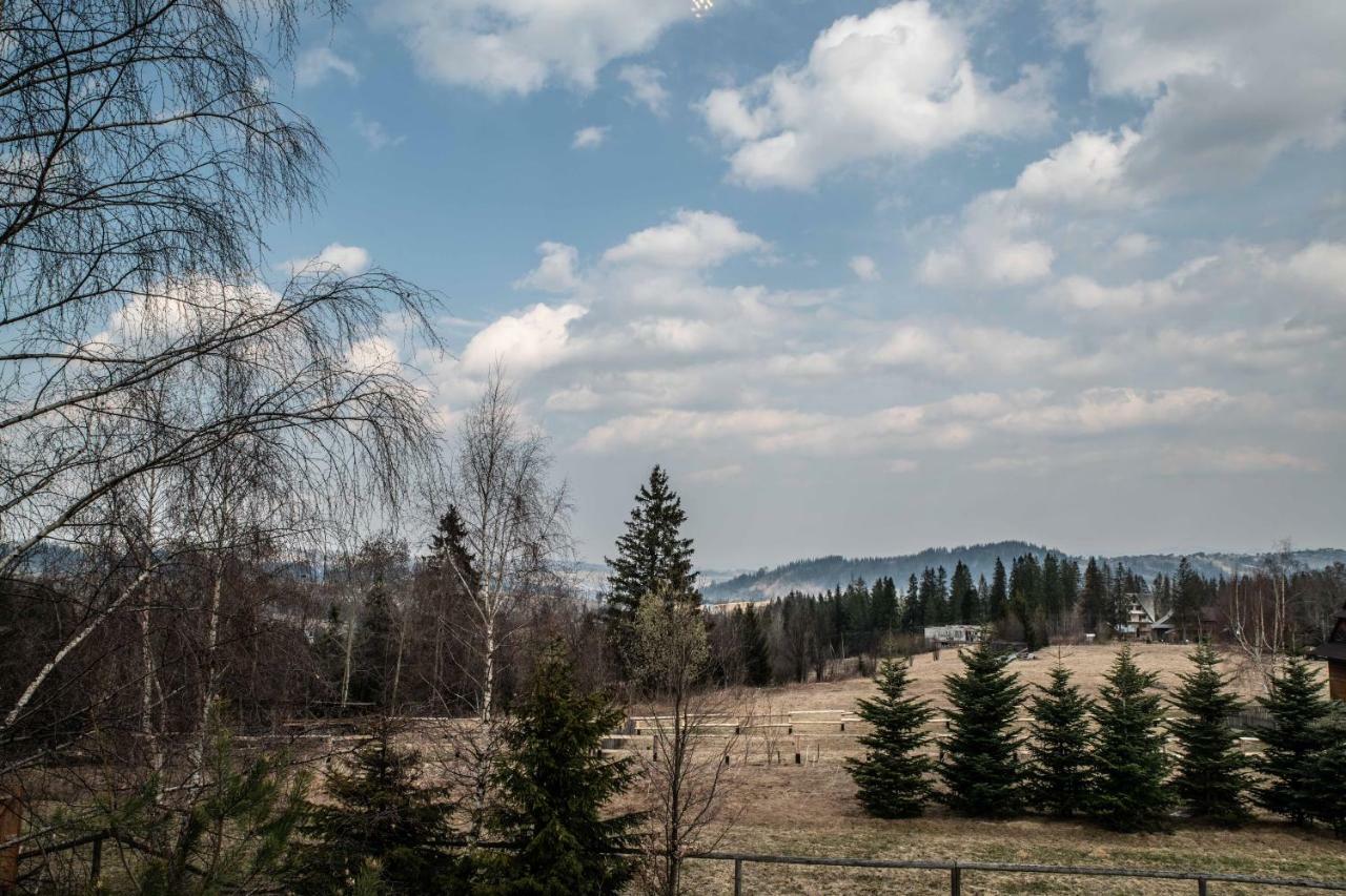 Domki I Apartamenty Na Wyskowkach Jacuzzi & Sauna 扎科帕内 外观 照片